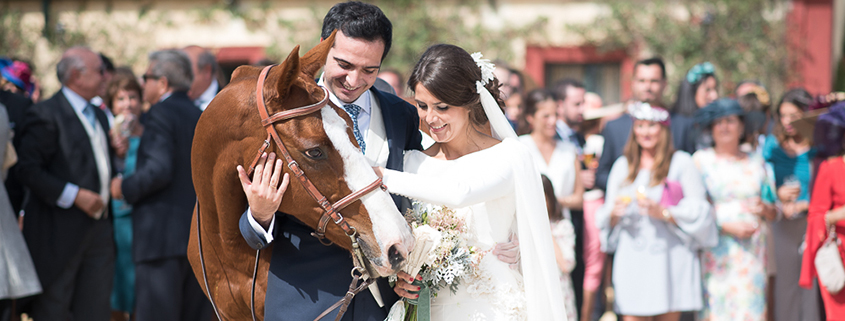 novios caballo catering bodas